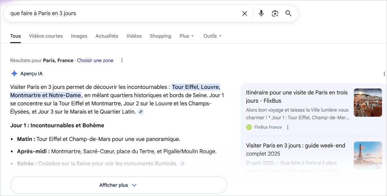 Exemple d'aperçu IA sur Google